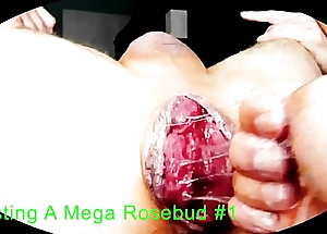 Fisting A Mega Rosebud #1