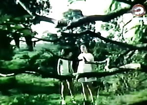 Darna beside an increment of transmitted to Giants (1973)